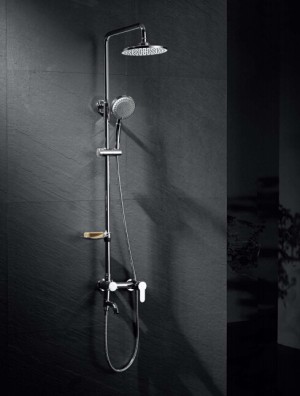 Shower Set - C2012. Shower Set (C2012)